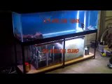 125 Gallon Aquarium With Sump (Moving Bed Filter)
