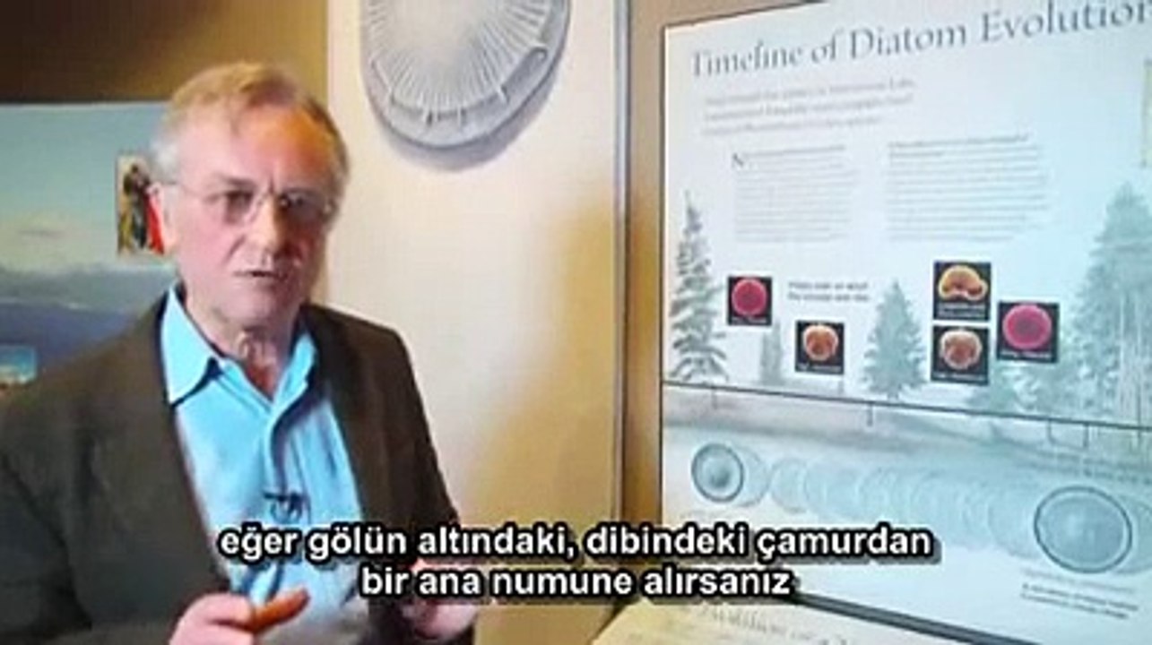 Diatomlar - Yeni bir Türün Evrimi