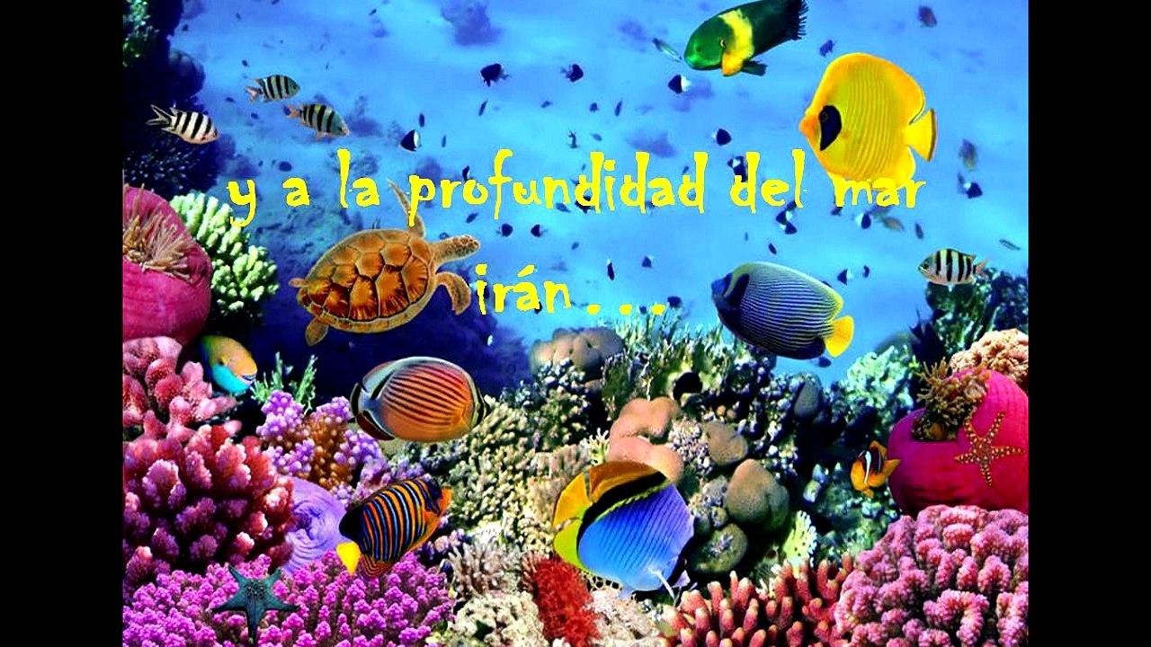 UNA HISTORIA PARA MAR