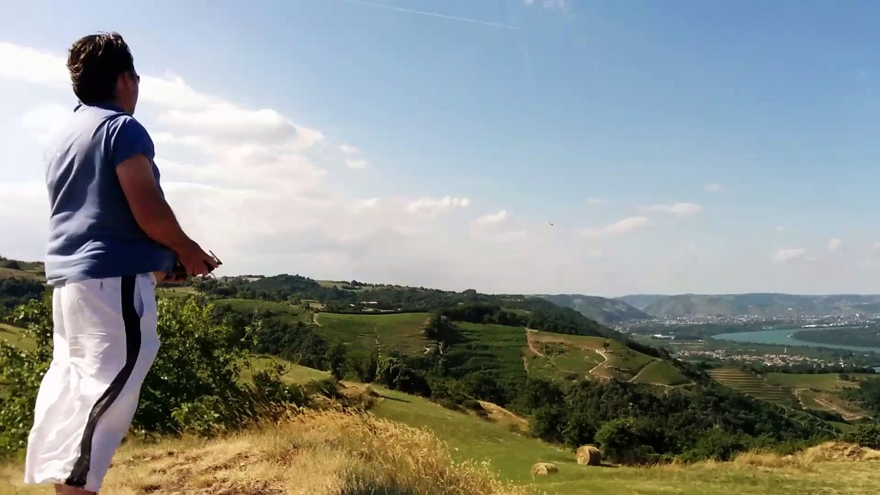 Décollage héron multiplex