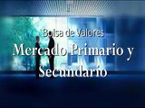 Bolsa de Valores Mercado Primario y Secundario
