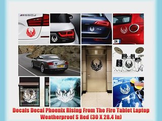 Descargar video: Decals Decal Phoenix Rising From The Fire Tablet Laptop Weatherproof S Red (30 X 28.4 In)