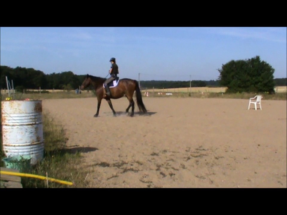 Volt juin 2015 plis, transitions, et DL