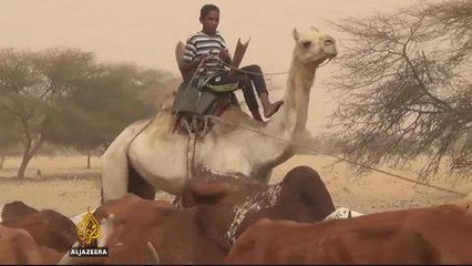 Mali nomads at risk of starvation