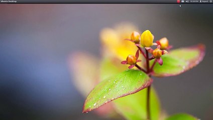 Nokia Phone with Ubuntu Linux