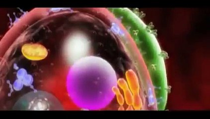 DXN PERÚ (BENEFICIOS AL CONSUMIR ESPIRULINA)