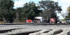 Trenes en lagos de Moreno///// railfanning at lagos de moreno jalisco