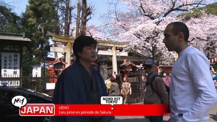 David Zavaglia フランスのテレビMYJAPANという番組桜スペシャル