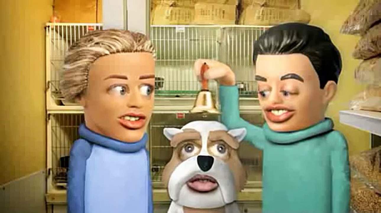 Le Shih Tzu (Tetesaclaques.tv)