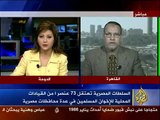 عصام العريان في الجزيرة عقب اعتقال 73 من الإصلاحيين المصريين