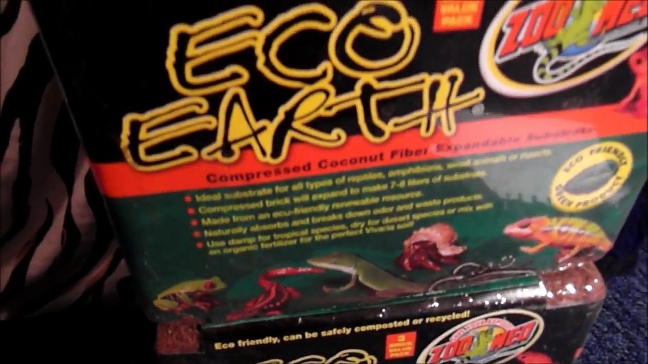 Questions, Answered... Eco earth, Heat Mats, Buying, Feeding and Morphs (Leopard Geckos)