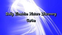 Baby Einstein: Nature Discovery Cards: