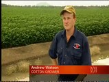 ABC News - Fine Cotton by Sarah Clarke