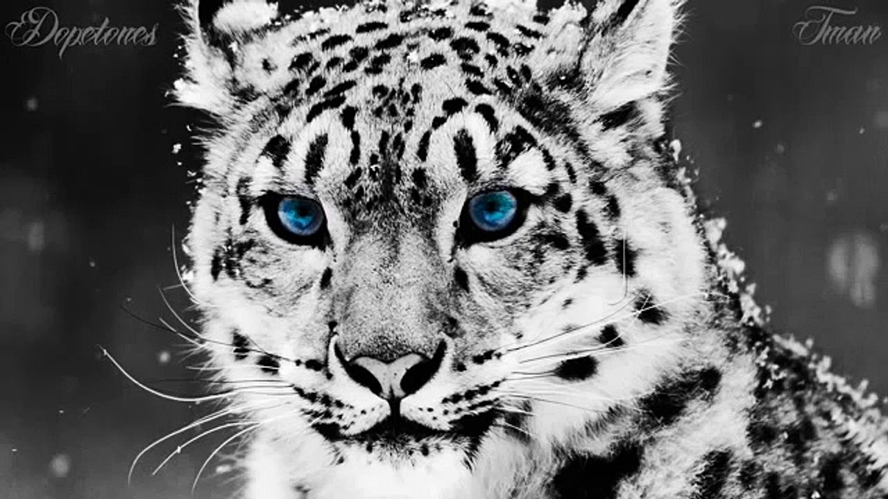 Deep Emotional Piano Rap Beat Instrumental.