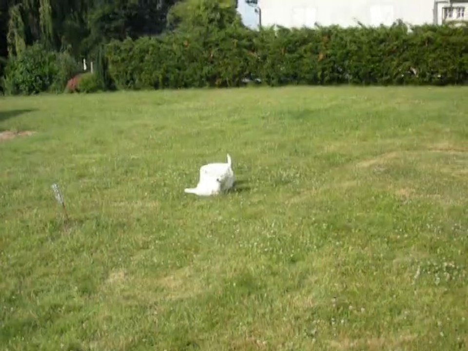 19.06.2015