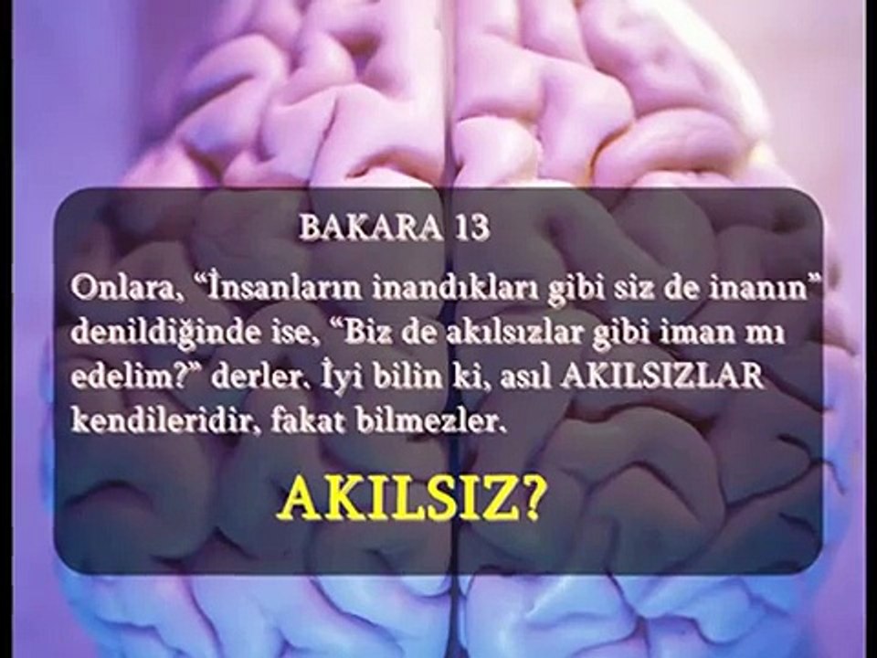 Ya Tanrı Varsa ?