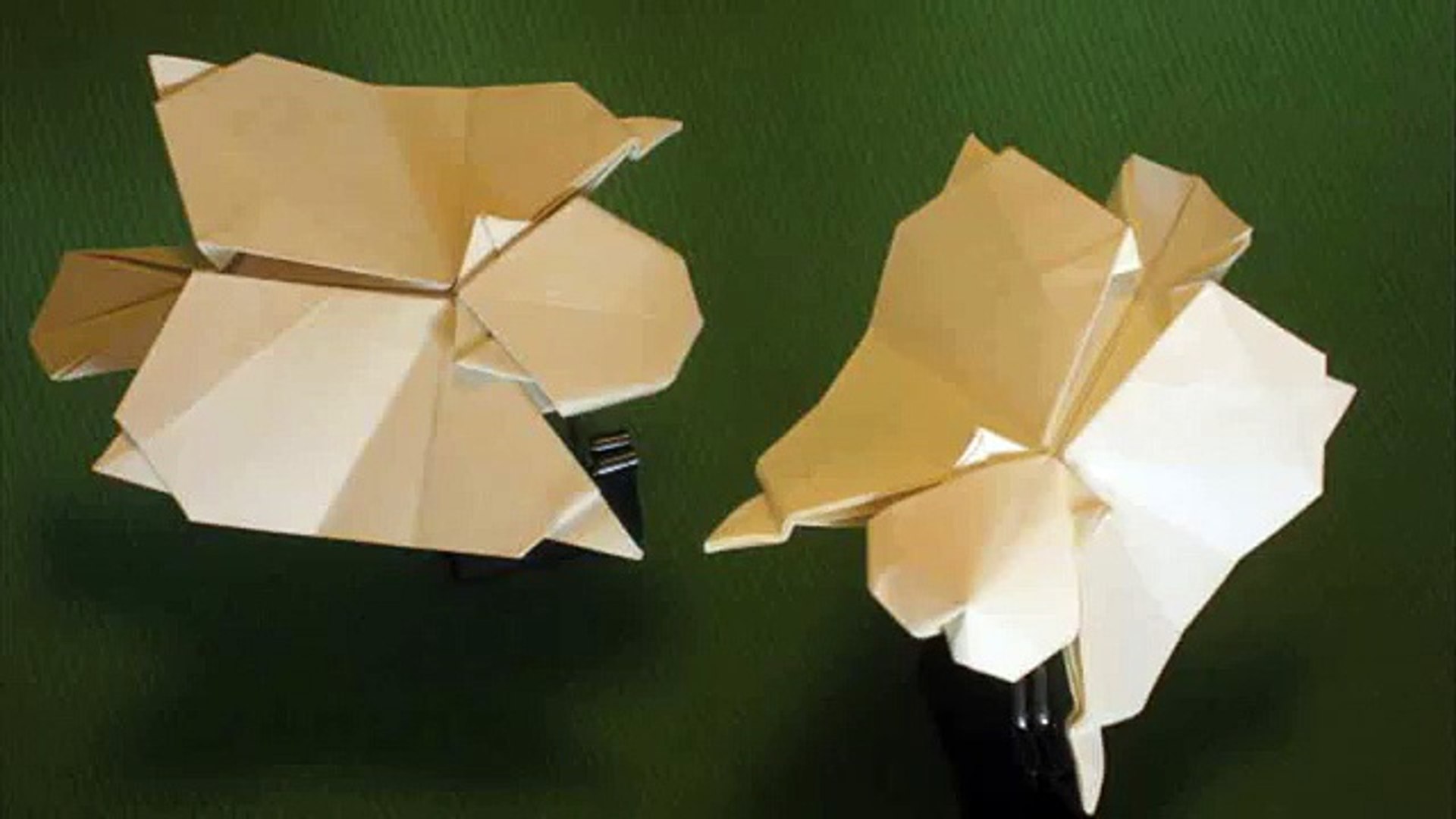 ⁣flying squirrel origami