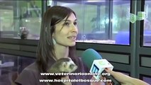 Residencia de Animales Exoticos - El Bosque - Madrid - Veterinario Online