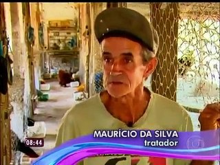 Mais Você   Ana relembra matéria do Globo Rural sobre galinhas raras que são uma atração   globotv