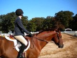 The Story Of A Girl And Her Horse Defying All Of The Odds
