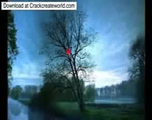 PaySafe Card generator updated Free no survey no password May 2014