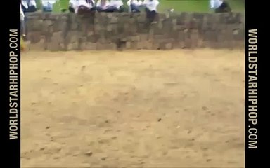 Drunk couple gets destroyed by angry bull!