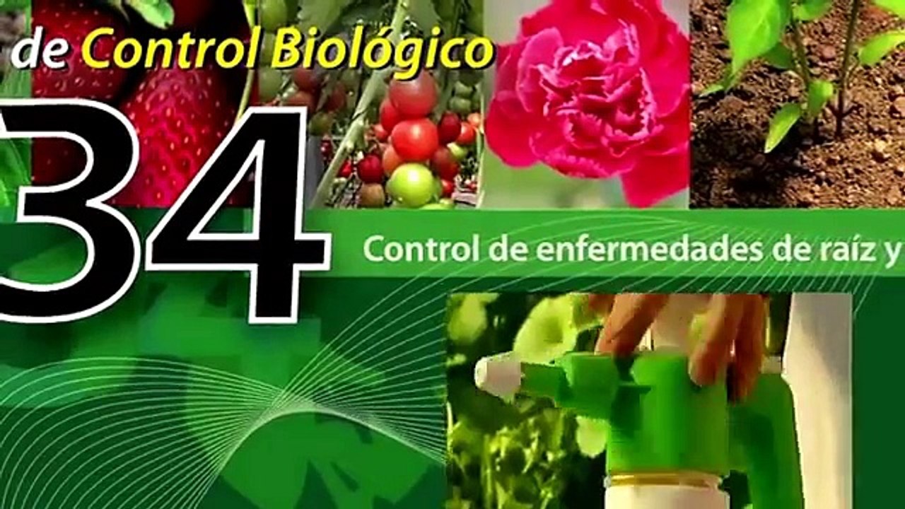 Biology vs Chemistry In Treating Crops | cool science projects, | fun science fair projects,