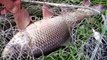 Fishing-Carp Chum bait(101) - Mồi câu Chạm Chép , Trắm , Trôi .