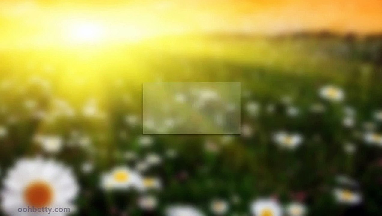 Ultimate MMA strength and conditioning review.