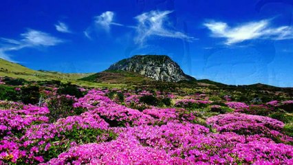 jeju island south korea | nature on jeju island