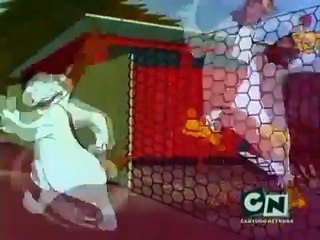 EL Gallo Claudio la comodreja hizo pum