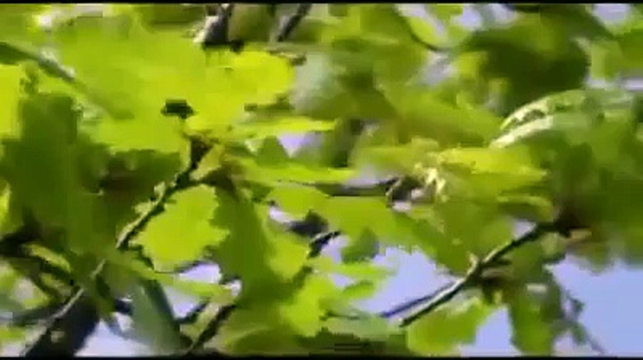 من أروع المقاطع : عظمة الله  - مبكي ومؤثر -