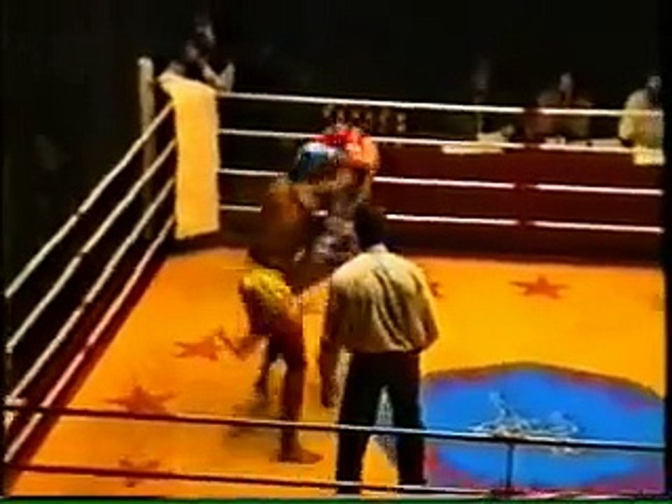 remy bonjasky VS Valentijn Overeem