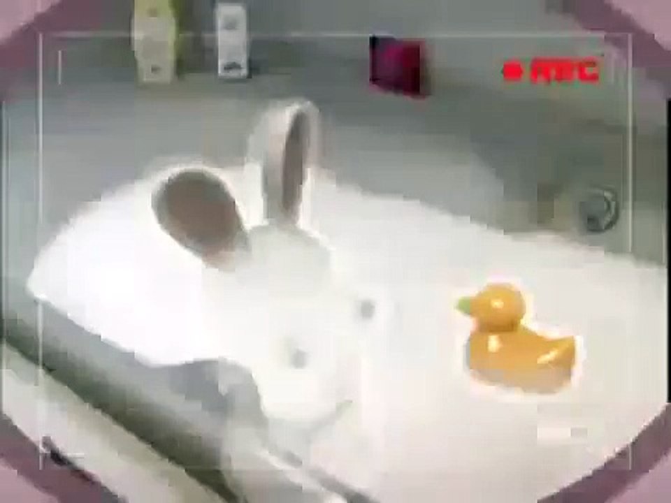 Rayman Raving Rabbids - Bunnies don't like taking a bath