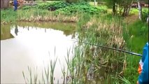 Cat Steals Fish From Fisherman