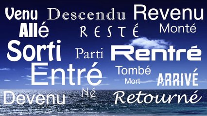 FLE - Le rap du passé composé avec Être