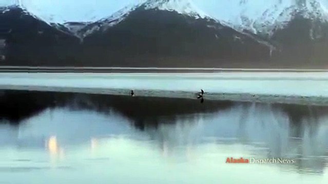 Spring bore tide along Turnagain Arm in Alaska