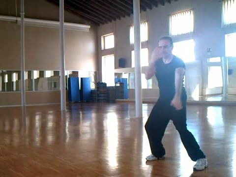 (5) 32 ejercicios de Taichi Chuan varios estilos.