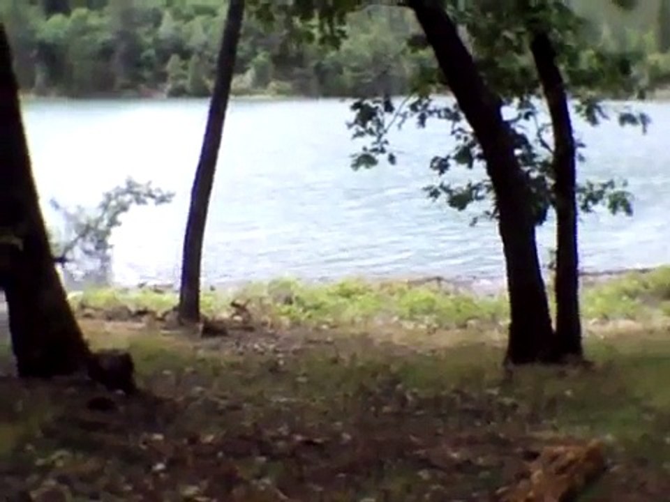 Epic camping fail