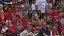 Rogue Squirrel Dazzles the Crowd During Phillies-Cardinals Game