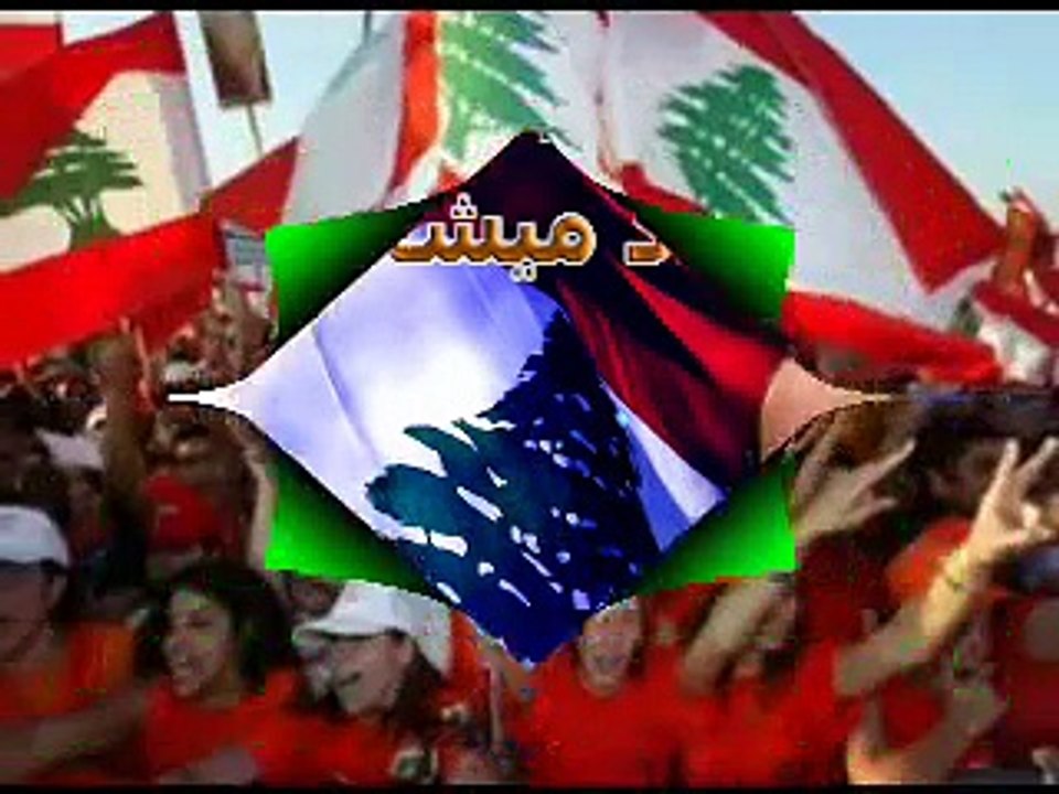 Nizel il Tayyar