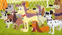Les Puppies Agence Canine - Saison 1 Episode 4 - 67 chiots.