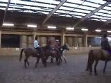 Match de Horse-Ball