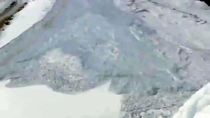 Dağ keçilerinin çığ altından kurtuluş anı