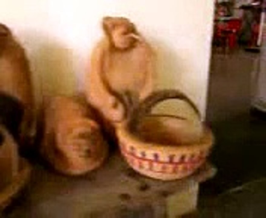 monos hechos de coco.mp4