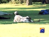 Karachi breaks 10-year record with 45 degrees scorching heat-Geo Reports-21 Jun 2015