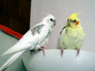 being nice to each other on the lamp