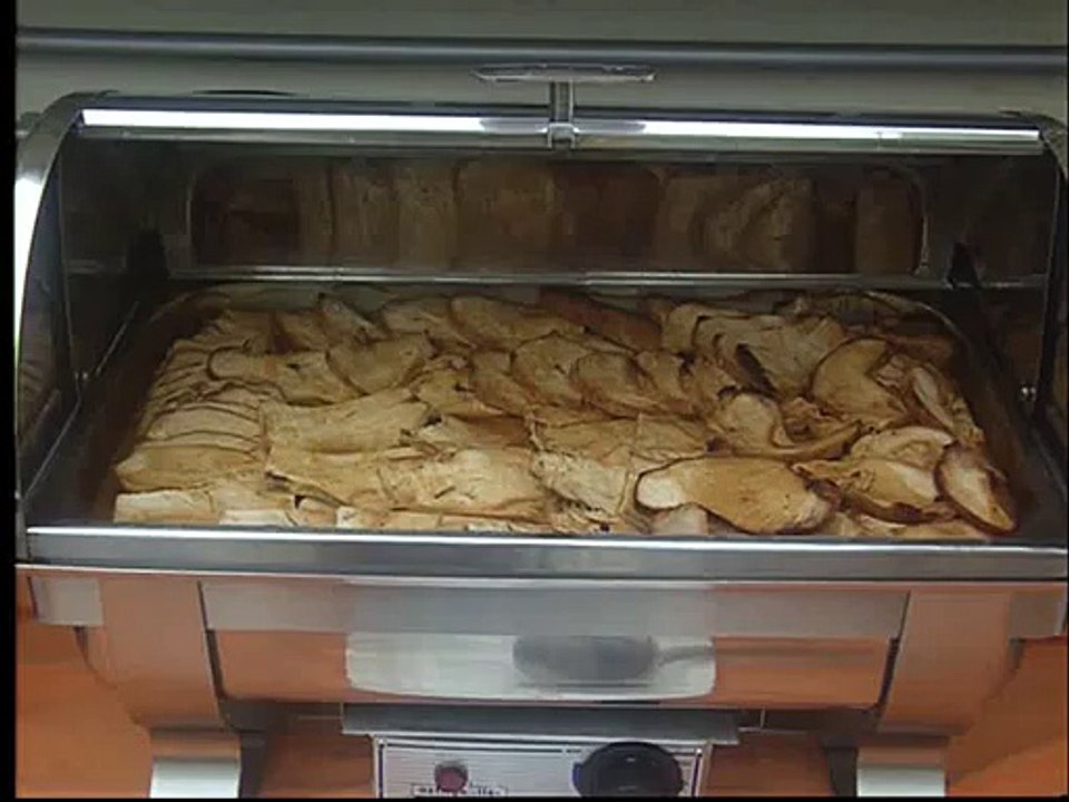 Hotel Pegasos Beach in Kemer _ Türkische Riviera(34)