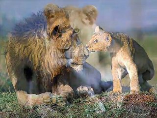 ENYA - A Day Without Rain