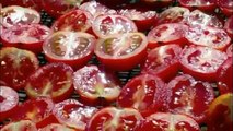 Nel cuore del Pomodoro. La produzione dei pomodorini essiccati sott'olio Pugliese.